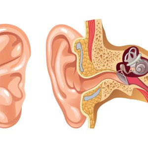 טיפול בכאבי אוזניים