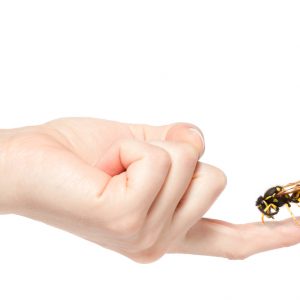 טיפול בעקיצות